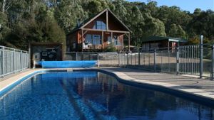 Karoonda Olive Grove Retreat at Mt Buffalo Olives - Townsville Tourism