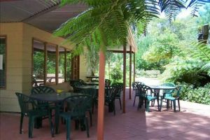 Rainforest Retreat Murray Bridge - Townsville Tourism